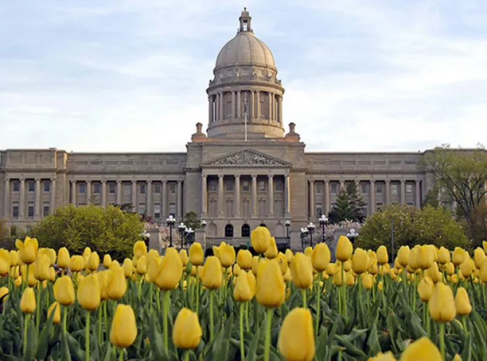 Capitol Building with yellow tulips 