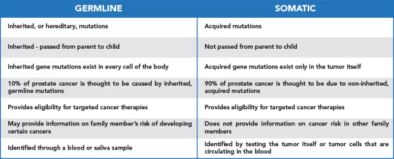 A table summarizing the differences between germline and somatic testing for prostate cancer