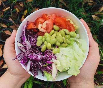 Plate filled with chopped vegetables