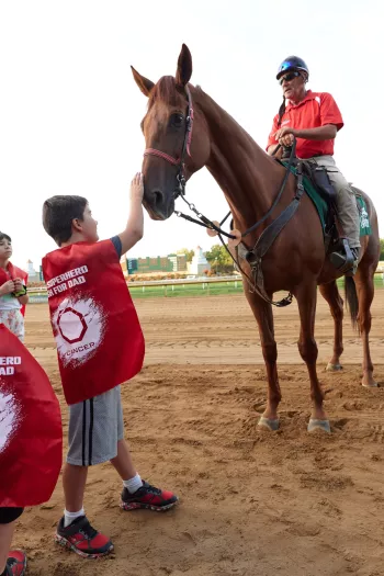 Horse at 2019 event