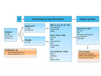 Graphic from Active Surveillance presentation