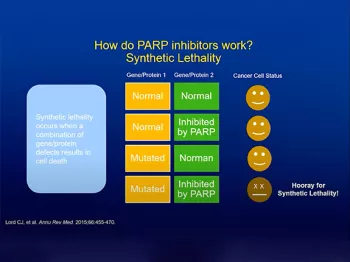Graphic about PARP Inhibitors