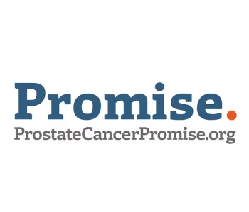 Promise logo
