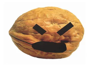 A really angry walnut. He's kind of cute. It's the same size as your prostate