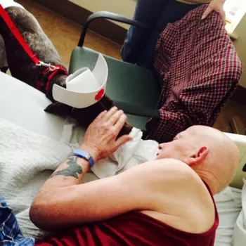 Father brown and a dog dressed in a nurse's cap at the hospital