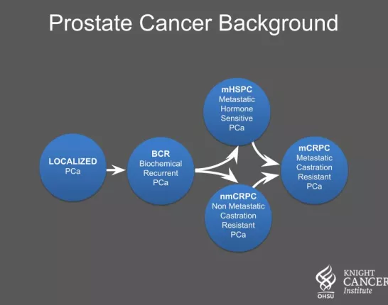 Prostate Cancer Background Localization