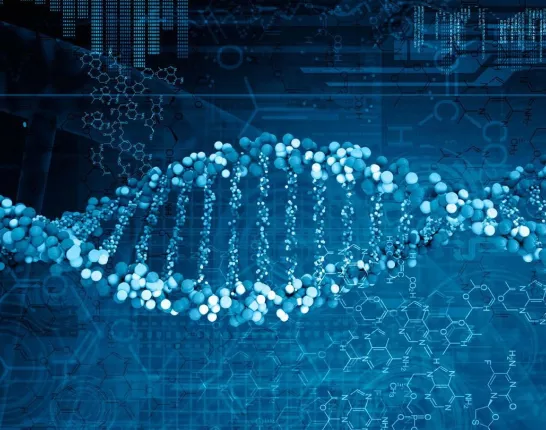 DNA structure