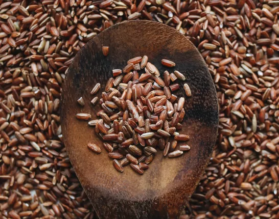 A wooden spoon filled with fiber grains