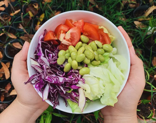 Plate filled with chopped vegetables