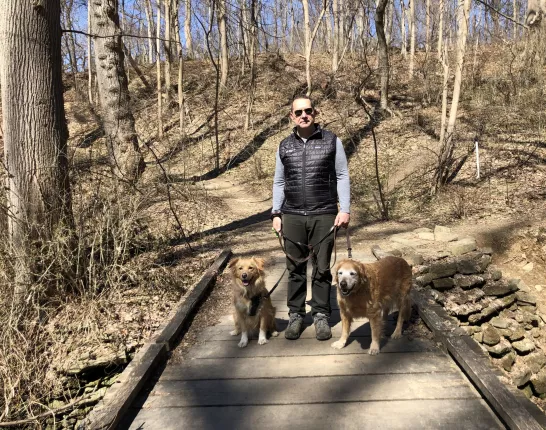 Man on a trail walk with two leashed medium sized golden dogs, one on each side