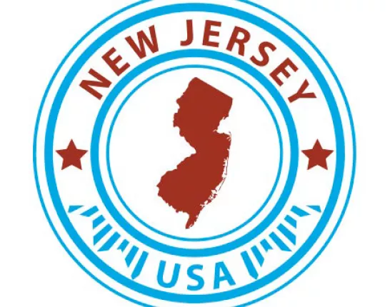 New Jersey Stats Emblem