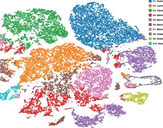 Single-cell-RNA-sequencing-of-prostate-cells