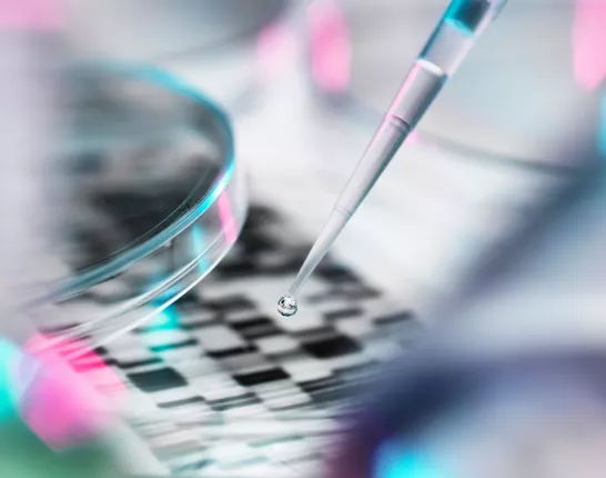 DNA sample being pipetted in a petri dish - DNA testing and prostate cancer