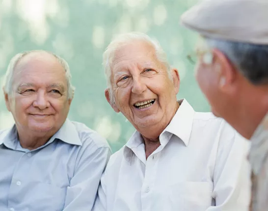 Three senior men talking