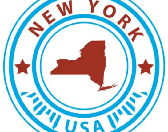 New York State Icon