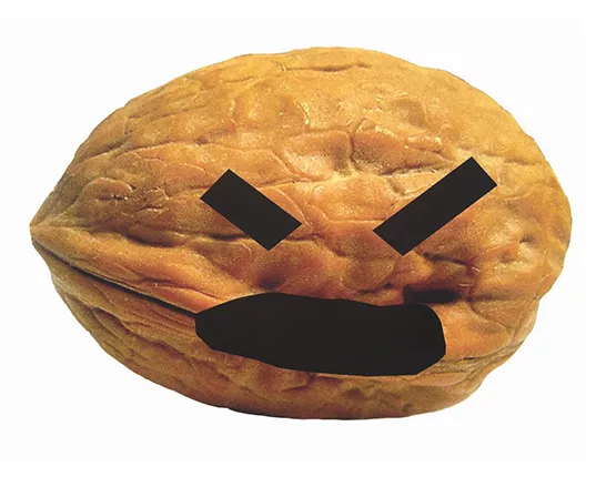 A really angry walnut. He's kind of cute. It's the same size as your prostate