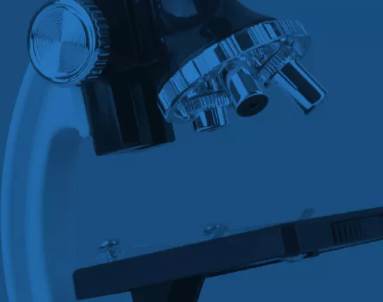 Prostate Cancer Discoveries Digest