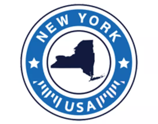 New York Stats Emblem