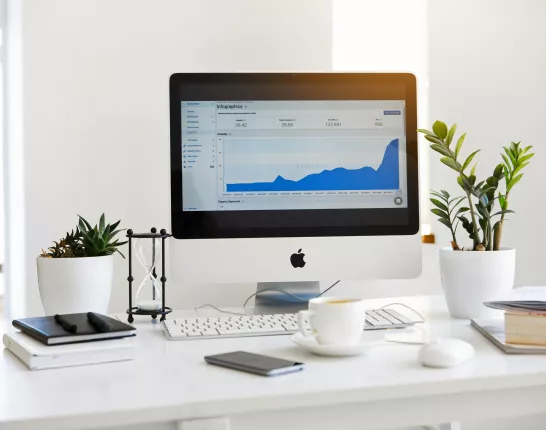 computer monitor