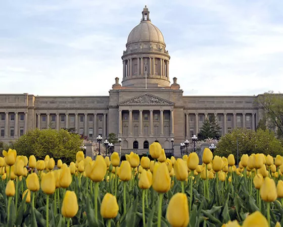 The state of Kentucky Capitol building with yellow tulips in front of it