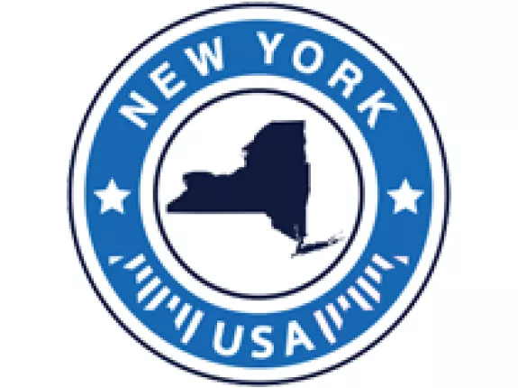 New York Stats Emblem