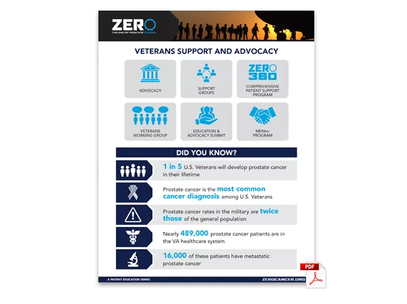 PDF Preview: Veterans Support & Advocacy (One Pager)