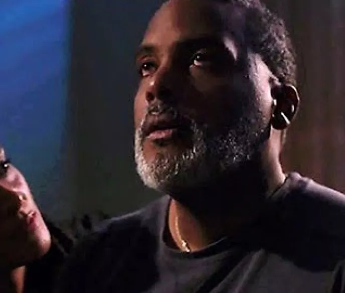 The Black Walnut movie poster image