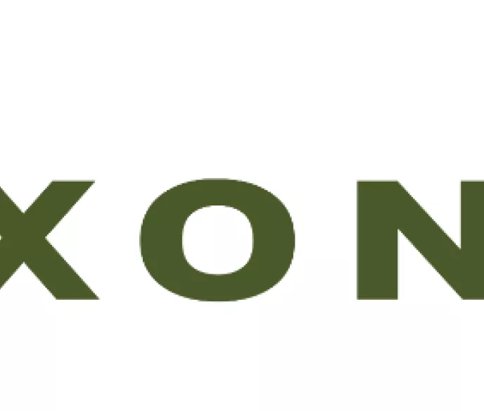 Dixon Logo