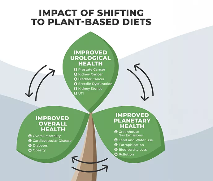 Graphic depicting impact of plant-based diet in regards to prostate cancer