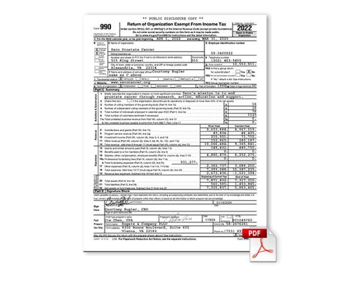 Preview of IRS Form 990 PDF