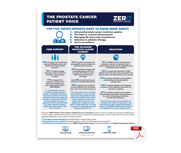 PDF Preview: Patient Voice Survey Summary 2023 (One-Pager)
