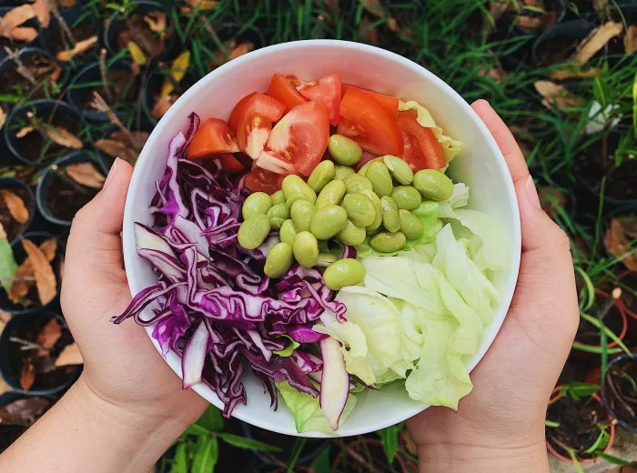 Plate filled with chopped vegetables