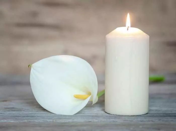 Flower and candle