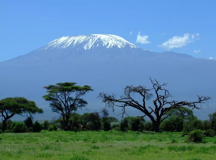 Snow-capped Mount Kilimanjaro with green savannah and acacia trees in the foreground.