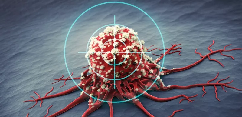 Cancer Cell Getting Targeted