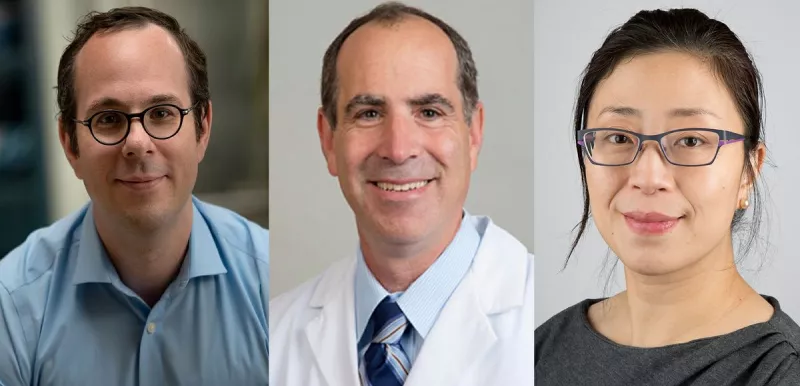 UCLA Newsroom Article Photo 