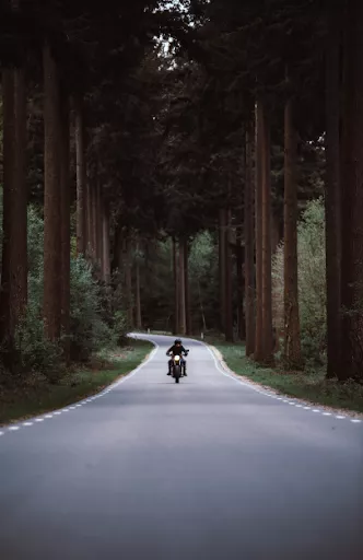 Man riding a motorcycle in middle of the road surrounded by tall forest trees