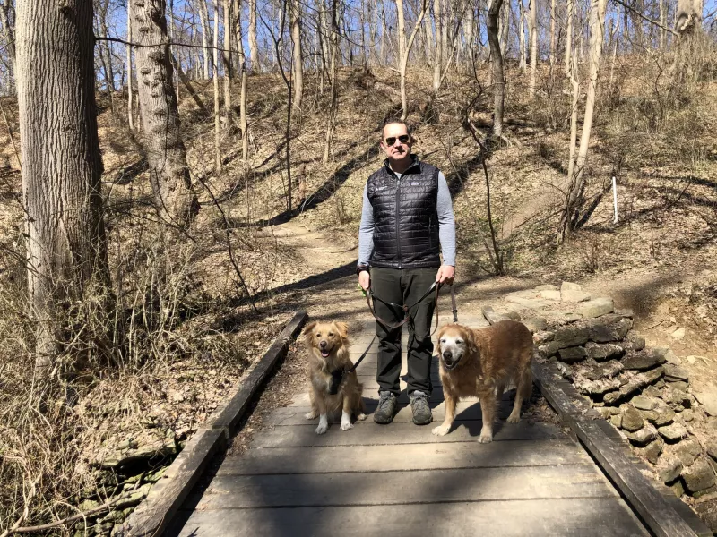 Man on a trail walk with two leashed medium sized golden dogs, one on each side