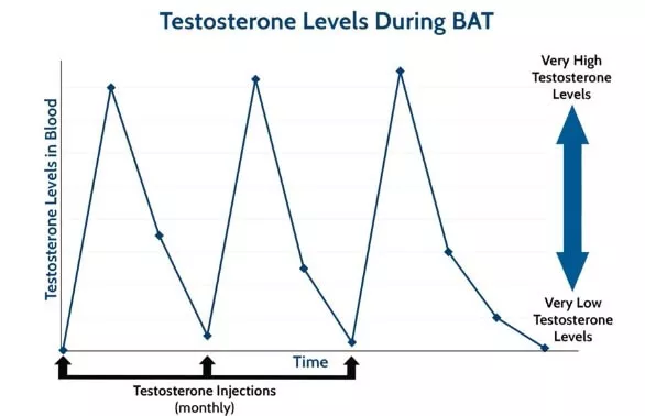 Testosterone Levels During Bipolar Androgen Therapy over time