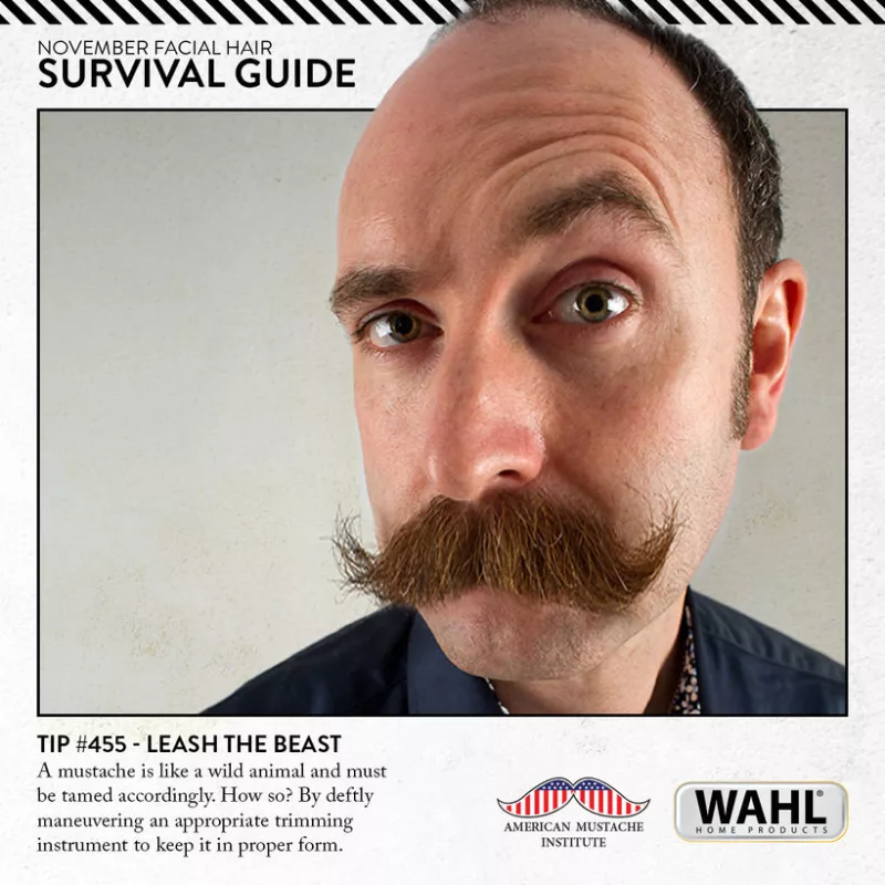 Image from Wahl's November Facial Hair Survival Guide