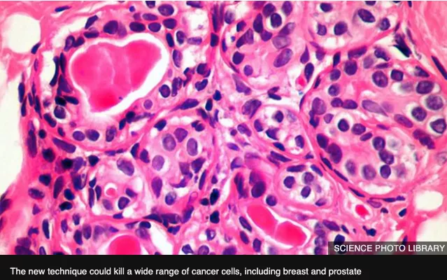 Immunotherapy closeup shot under a microscope