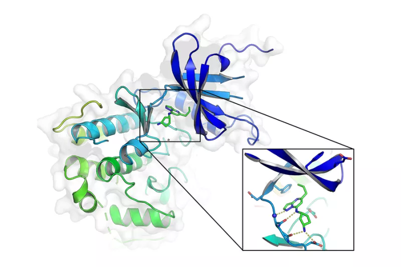 Graphical representation of a molecule structure