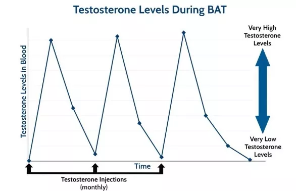 Graph representation of testosterone levels during BAT