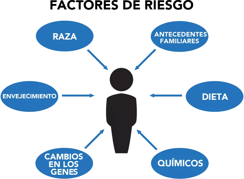 Infographic in Spanish for prostate cancer risk factors