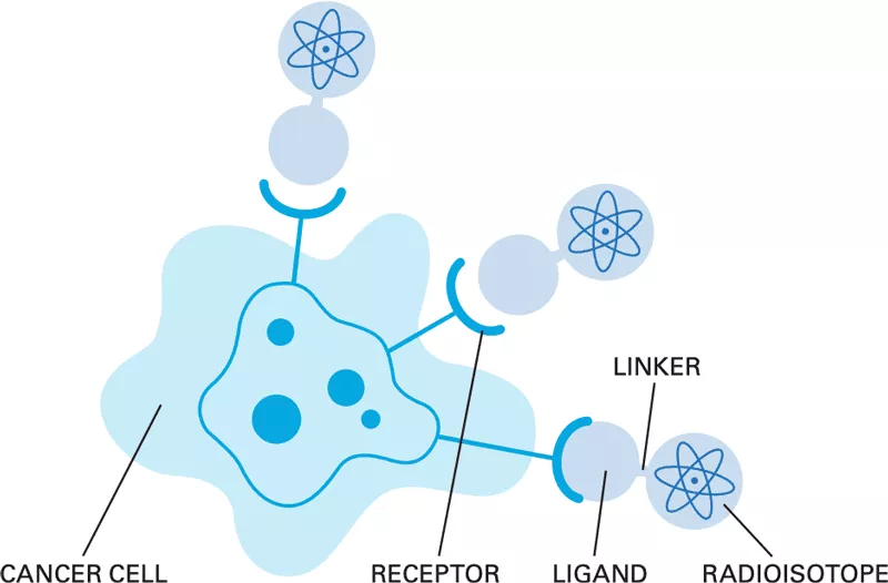 Illustration: How Radioligands Work