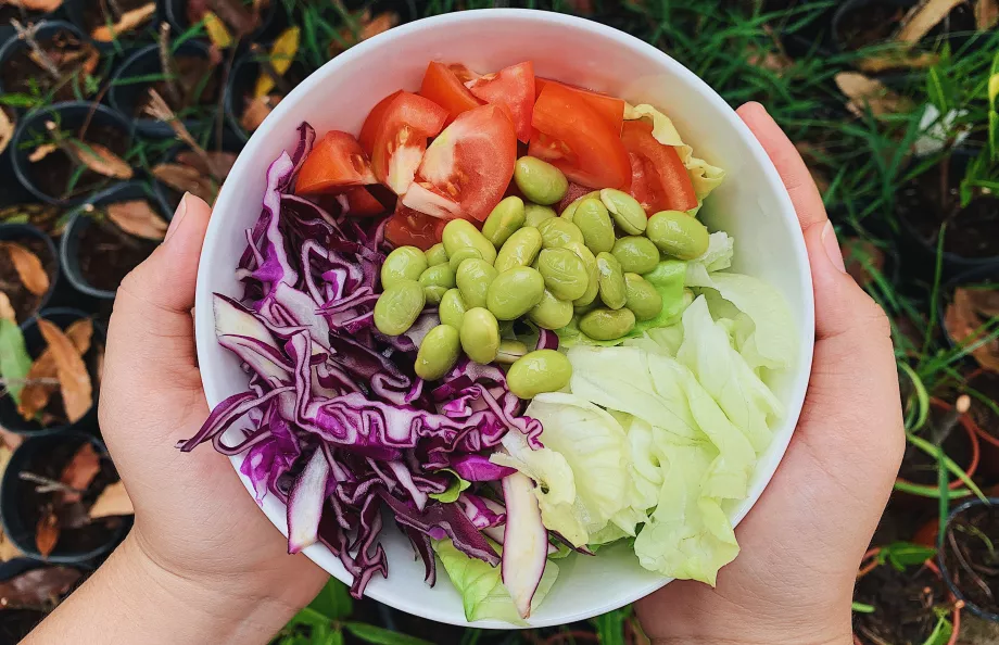 Plate filled with chopped vegetables