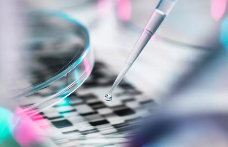 DNA sample being pipetted in a petri dish - DNA testing